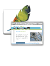 webseite_photoshop.pdf